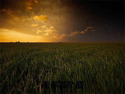 影帝算个屁全文免费阅读无弹窗大结局_(沈雨茨姜辰屿免费阅读)影帝算个屁最新章节在线阅读_笔趣阁