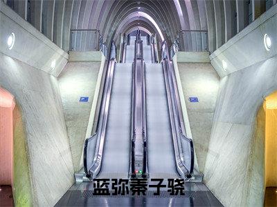蓝弥秦子骁蓝弥秦子骁小说（蓝弥秦子骁）全文免费阅读无弹窗大结局_蓝弥秦子骁小说最新章节列表_笔趣阁