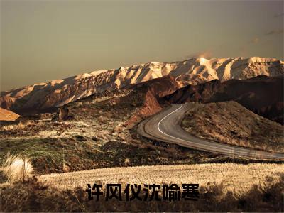 沈喻寒许风仪（许风仪沈喻寒）小说全文-沈喻寒许风仪无弹窗免费阅读