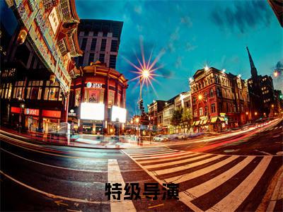 特级导演全文免费阅读无弹窗大结局,陈楚小说最新章节