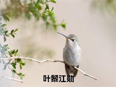 叶黎江勋小说（叶黎江勋）全文免费阅读_（叶黎江勋）叶黎江勋小说最新章节列表