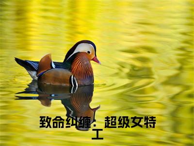致命纠缠:超级女特工(乔雅幕)全文免费阅读无弹窗大结局_致命纠缠:超级女特工小说(乔雅幕)最新章节列表