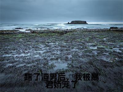 踹了渣男后,我被暴君娇宠了(楼望月秦无双)是哪部小说的主角-踹了渣男后,我被暴君娇宠了(楼望月秦无双)全文无弹窗完整版阅读