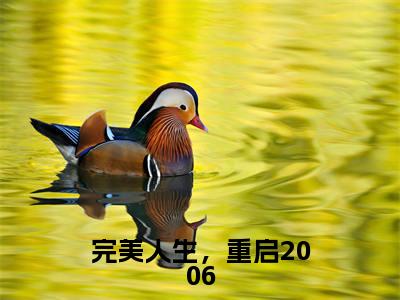 完美人生,重启2006(徐芷惜陈江河)全文免费阅读无弹窗大结局_(完美人生,重启2006阅读全文大结局)徐芷惜陈江河最新章节列表