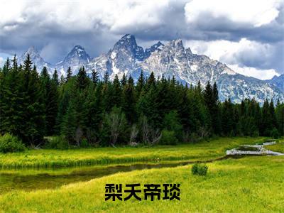 梨夭帝琰（帝琰梨夭）全文免费阅读_梨夭帝琰（帝琰梨夭）最新章节小说免费阅读