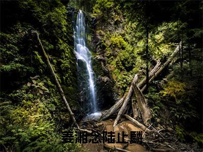 姜湘念陆止麟是什么小说-(陆止麟姜湘念)姜湘念陆止麟无弹窗免费阅读大结局最新章节列表_笔趣阁