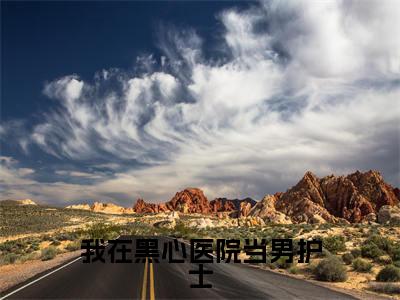 我在黑心医院当男护士全集小说完整版大结局_陈佳佳完结版在线阅读