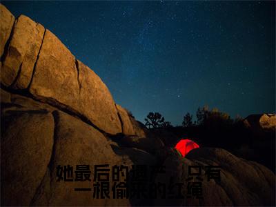 她最后的遗产,只有一根偷来的红绳大结局全文免费阅读最新章节_沈雀傅寒铮大结局