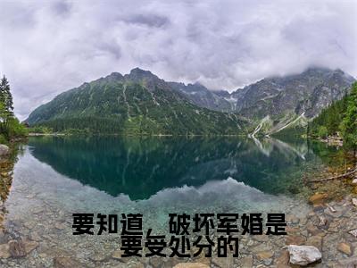 要知道，破坏军婚是要受处分的（夏唯安江彦词）全文免费阅读无弹窗大结局_（夏唯安江彦词）全文最新章节列表