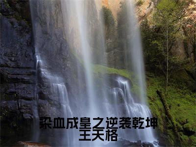 染血成皇之逆袭乾坤王天格全文免费阅读_(王天格免费阅读无弹窗)染血成皇之逆袭乾坤王天格最新章节列表笔趣阁