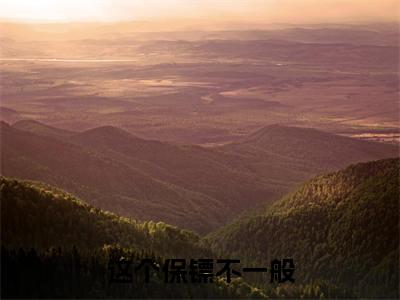 华彤（这个保镖不一般）全文免费阅读无弹窗大结局_华彤最新章节列表_笔趣阁