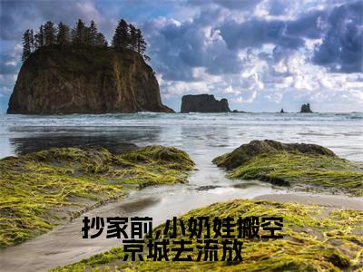 (抄家前,小奶娃搬空京城去流放)最新免费小说大结局-小说抄家前,小奶娃搬空京城去流放叶晚娇薛雪柔全文免费在线阅读