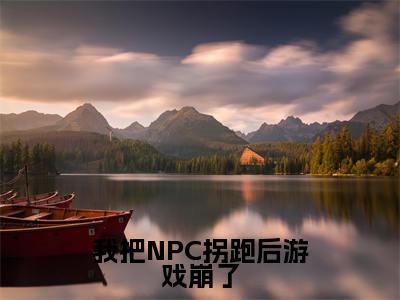 苏意沈慕白人气小说我把NPC拐跑后游戏崩了创在线阅读-正版小说《我把NPC拐跑后游戏崩了》苏意沈慕白全文阅读