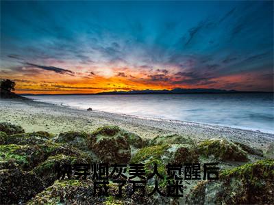 快穿炮灰美人觉醒后成了万人迷（暨柔）全文免费阅读无弹窗大结局_快穿炮灰美人觉醒后成了万人迷全文阅读完整版_笔趣阁（暨柔）