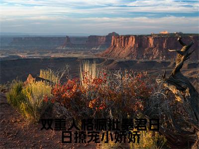 双重人格疯批暴君日日撩宠小娇娇（宋妧谢行之全文在线阅读）-双重人格疯批暴君日日撩宠小娇娇（宋妧谢行之）免费阅读