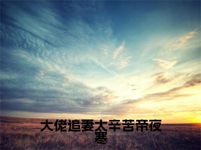 大佬追妻太辛苦帝夜寒小说余小小帝夜寒-大佬追妻太辛苦帝夜寒小说在哪里可以看