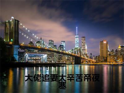大佬追妻太辛苦帝夜寒小说讲的是什么-余小小帝夜寒精彩章节目录观看