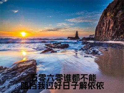解依依( 五零六零谁都不能阻挡我过好日子解依依全文免费阅读)无弹窗-解依依( 五零六零谁都不能阻挡我过好日子解依依)完整版在线赏析笔趣阁