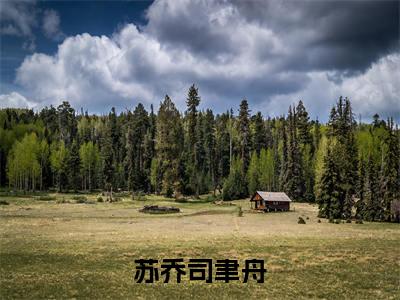 苏乔司聿舟:苏乔司聿舟全文免费阅读无弹窗大结局_(苏乔司聿舟)苏乔司聿舟最新章节列表笔趣阁