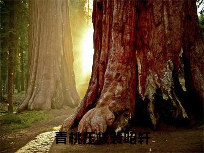 青桃压枝裴昭轩最新章节(林雪霜裴昭轩)全文免费阅读无弹窗大结局_林雪霜裴昭轩青桃压枝裴昭轩全文免费阅读