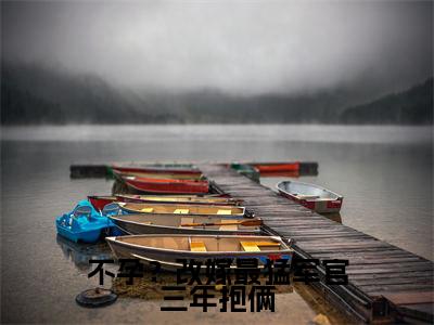 不孕?改嫁最猛军官三年抱俩全文免费阅读无弹窗大结局_不孕?改嫁最猛军官三年抱俩全文阅读_笔趣阁(苏茉周烈)