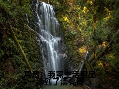 榜单小说离谱,我家生活用品漂到了漂亮国全文免费阅读无弹窗大结局-方尘蓝星全文在线阅读
