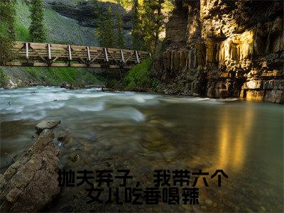 抛夫弃子，我带六个女儿吃香喝辣（孟穗穗）免费阅读无弹窗大结局-抛夫弃子，我带六个女儿吃香喝辣免费阅读大结局最新章节列表_笔趣阁