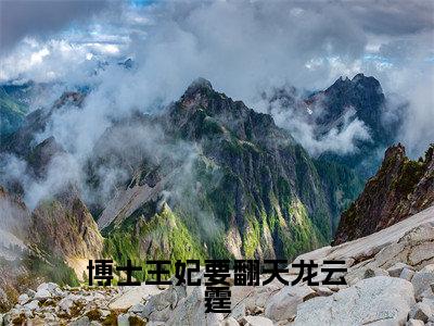 博士王妃要翻天龙云霆（桑璃龙云霆）全文免费阅读大结局-桑璃龙云霆最新章节列表免费阅读大结局