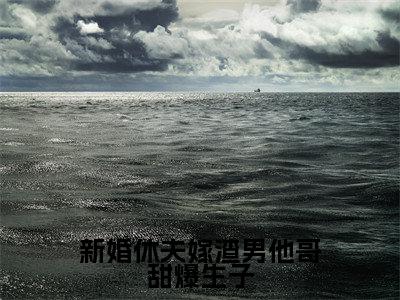 新婚休夫嫁渣男他哥甜爆生子是什么小说，新婚休夫嫁渣男他哥甜爆生子（沈颜）完整章节在线阅读