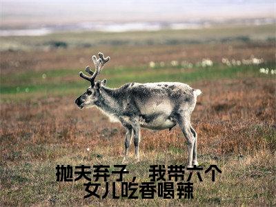 抛夫弃子，我带六个女儿吃香喝辣孟穗穗小说热门全集在线观看抛夫弃子，我带六个女儿吃香喝辣免费章节试读