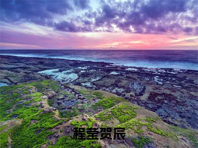 程莹贺辰免费阅读(程莹贺辰)完整版全文全章节阅读(程莹贺辰免费+番外)