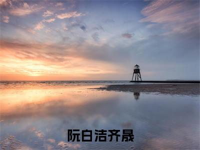 阮白洁齐晟全集免费阅读无弹窗_阮白洁齐晟完结小说榜单阅读(阮白洁齐晟小说)