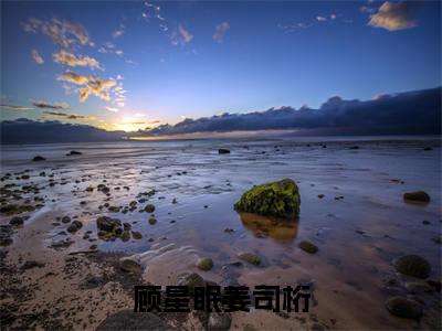 顾星眠姜司桁(顾星眠姜司桁免费小说)全文免费阅读无弹窗大结局_顾星眠姜司桁免费小说最新章节列表_笔趣阁
