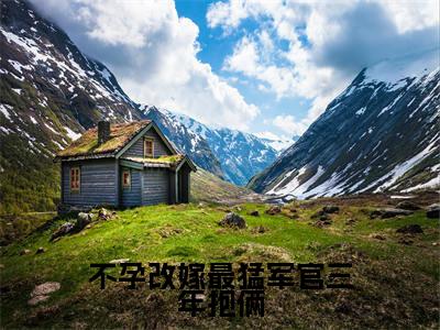 苏茉周烈小说免费阅读无弹窗大结局，不孕改嫁最猛军官三年抱俩最新章节列表