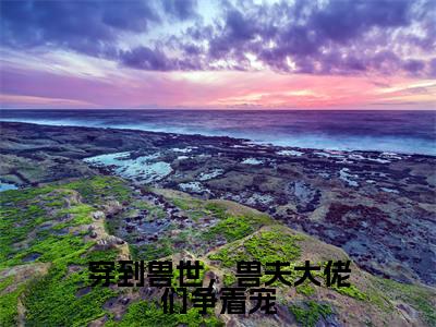 穿到兽世,兽夫大佬们争着宠(冷月汐熤成)全文免费阅读-小说穿到兽世,兽夫大佬们争着宠大结