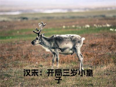 刘协为刘协的小说叫什么-最新小说汉末:开局三岁小皇子全文阅读