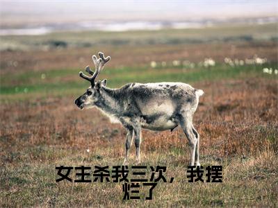 女主杀我三次,我摆烂了(余之雨付影离)全文免费阅读无弹窗_(女主杀我三次,我摆烂了小说免费阅读)最新章节列表笔趣阁