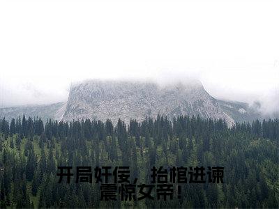 开局奸佞,抬棺进谏震惊女帝!小说(曹琰)全文免费阅读无弹窗大结局_开局奸佞,抬棺进谏震惊女帝!全文免费完结版阅读(曹琰)