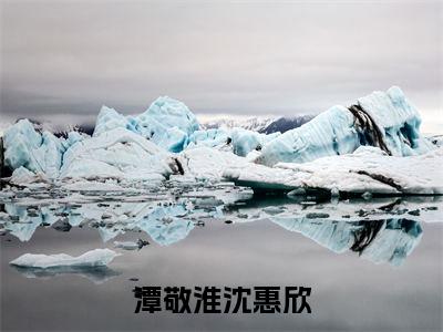 潭敬淮沈惠欣（沈惠欣潭敬淮）全文在线阅读无弹窗大结局_沈惠欣潭敬淮免费阅读全文大结局
