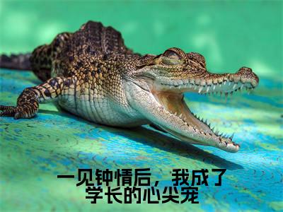 一见钟情后,我成了学长的心尖宠(凌渊池渔)小说全文免费阅读无弹窗大结局_一见钟情后,我成了学长的心尖宠最新章节列表