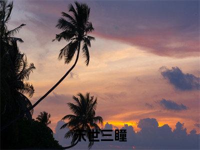 末世三瞳(林旭)全文免费阅读无弹窗-林旭小说完整版在线阅读