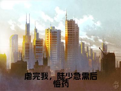 陆聂琛苏槿叶（虐完我，陆少急需后悔药）小说全文-陆聂琛苏槿叶无弹窗免费阅读