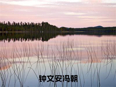 钟文安冯朝(冯朝钟文安)全文免费阅读_钟文安冯朝(冯朝钟文安在线小说免费阅读)