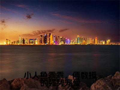 小人鱼乖乖，傅教授的强势宠爱（伽浅傅严琛）免费全文阅读小说_伽浅傅严琛最新章节列表-笔趣阁（小人鱼乖乖，傅教授的强势宠爱）