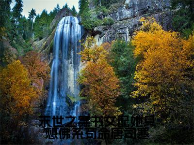 末世之穿书女配她只想佛系苟命唐司寒全文免费阅读无弹窗大结局(简栩唐司寒)_末世之穿书女配她只想佛系苟命唐司寒最新章节列表_笔趣阁(简栩唐司寒)