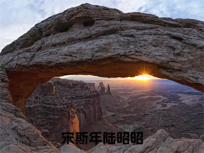 宋斯年陆昭昭全文免费阅读无弹窗大结局-宋斯年陆昭昭小说在哪里可以看