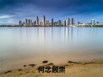 何念顾崇小说免费全本-何念顾崇小说（何念顾崇完整版）免费阅读