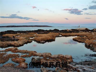 傅庭修苏月娴（苏月娴傅庭修）小说全文免费阅读无弹窗_（苏月娴傅庭修）傅庭修苏月娴小说全文免费阅读最新章节列表笔趣阁
