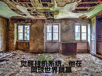高桥彦木村小郎小说免费阅读无弹窗大结局,觉醒挂机系统,他在网球世界躺赢最新章节列表