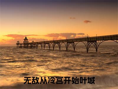小说无敌从冷宫开始叶城免费阅读-（叶城）无敌从冷宫开始叶城最新章节小说阅读-笔趣阁